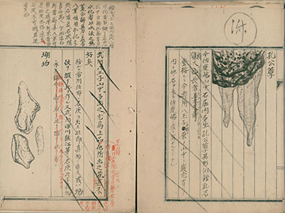 『日本諸州薬譜』の石について書かれた部分