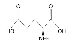 グルタミン酸の構造