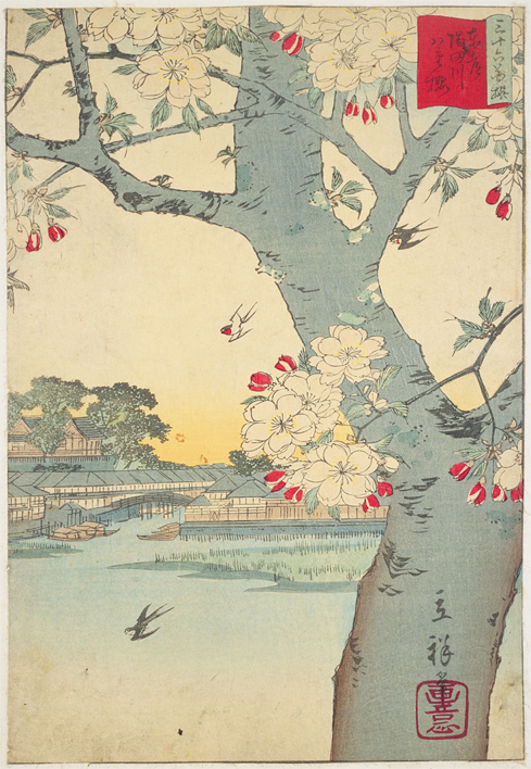 東都隅田川八重桜を新しいウィンドウで開きます。