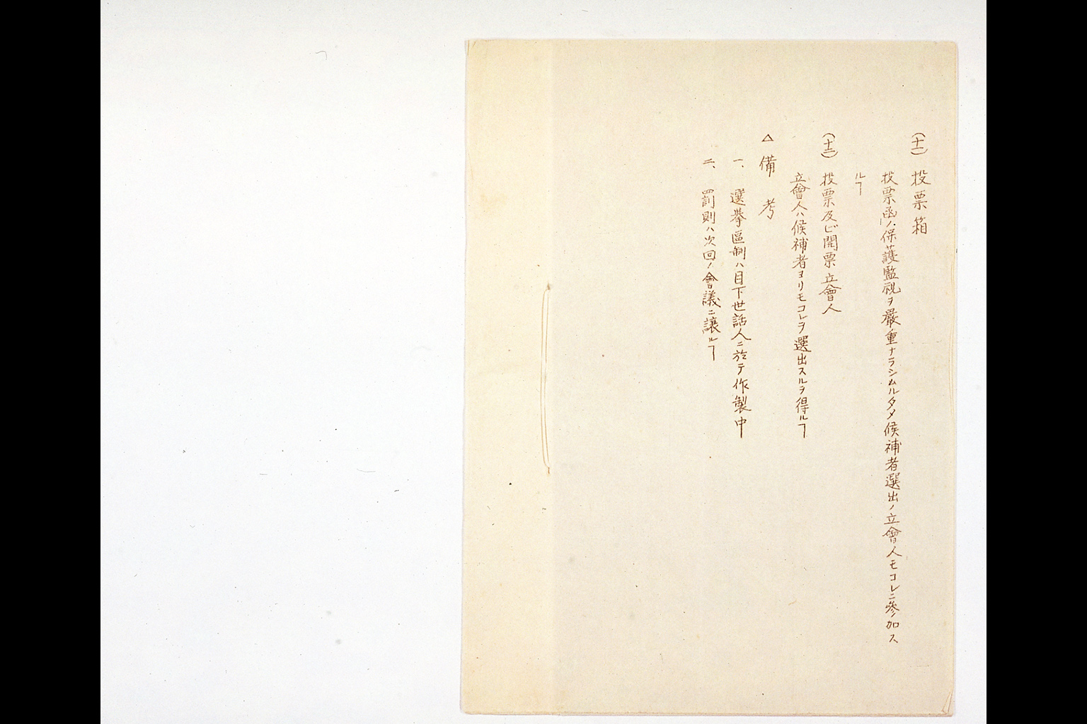 三派普選委員会決定案 (拡大画像)