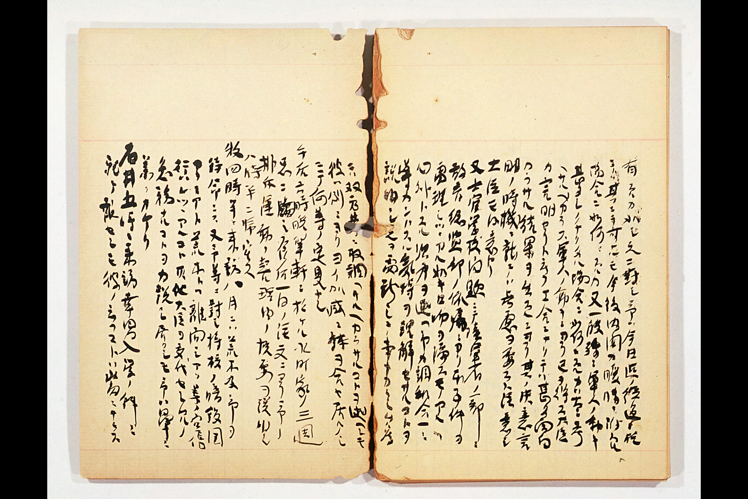 Biboroku ("Diary"), Vol. 7(larger)