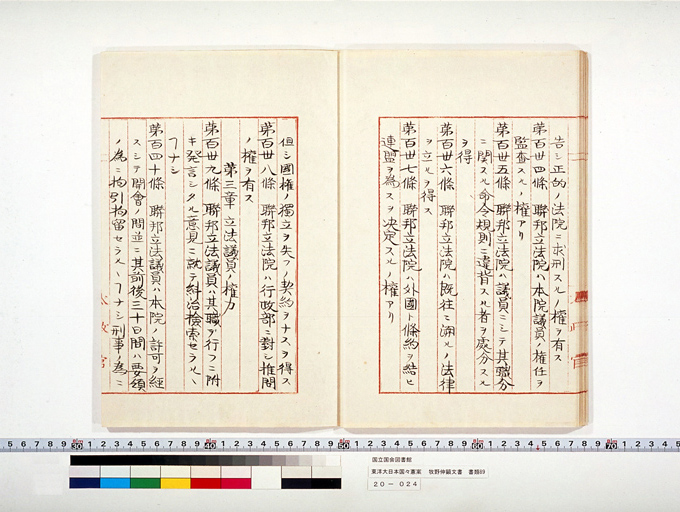 東洋大日本国々憲案 (標準画像)