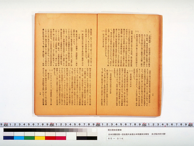 日本労農党第一回全国大会提出本部議案及報告 (標準画像)
