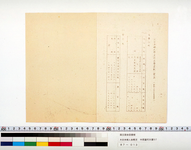 大日本婦人会概況 (標準画像)