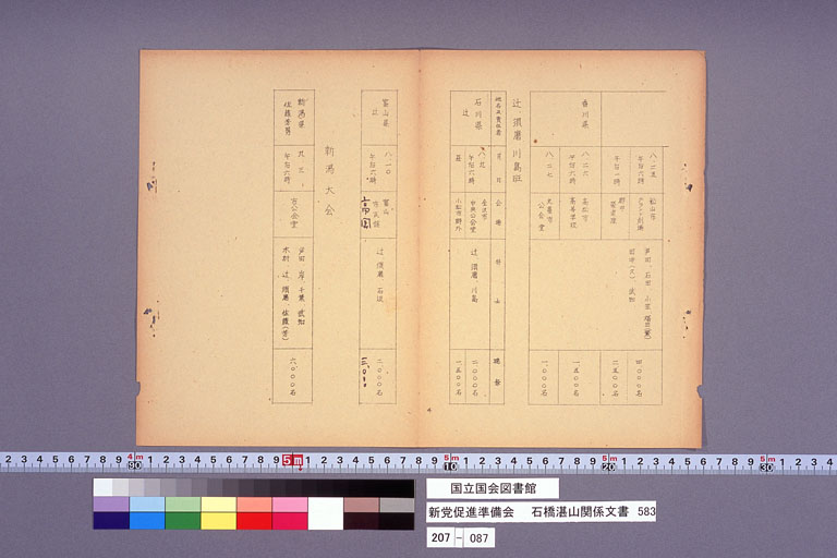 新党促進準備会 (標準画像)