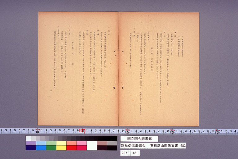 新党促進準備会 (標準画像)