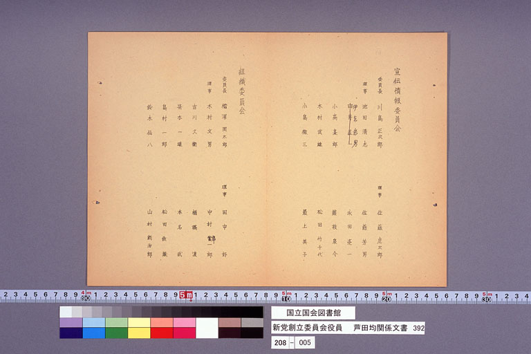 新党創立委員会役員 (標準画像)