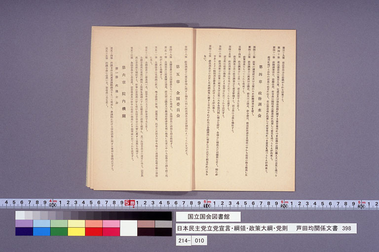 日本民主党立党宣言・綱領・政策大綱・党則 (標準画像)