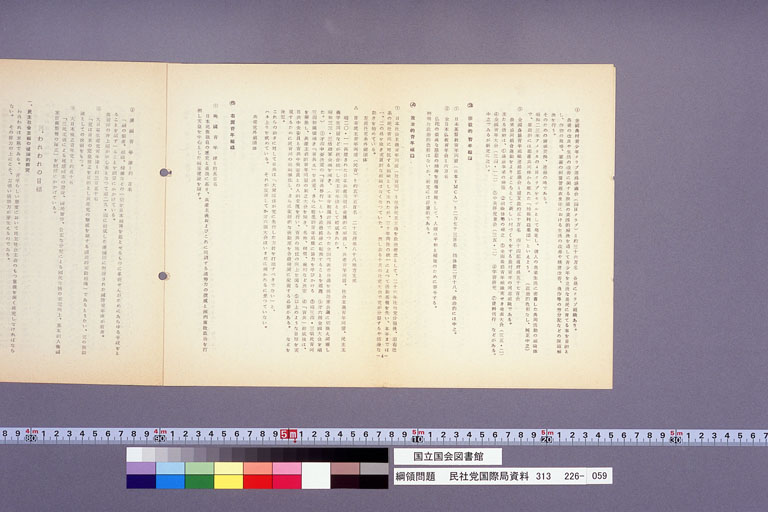 綱領問題 (標準画像)