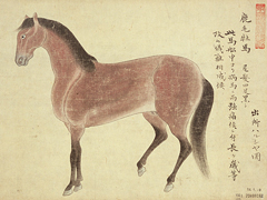 長崎に輸入されたペルシャ馬の図「異国産馬図巻」