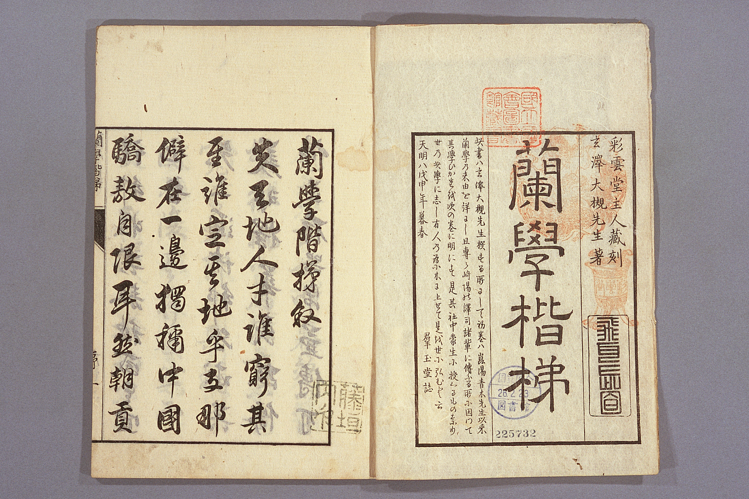 蘭学階梯（拡大画像 108-001） | 江戸時代の日蘭交流