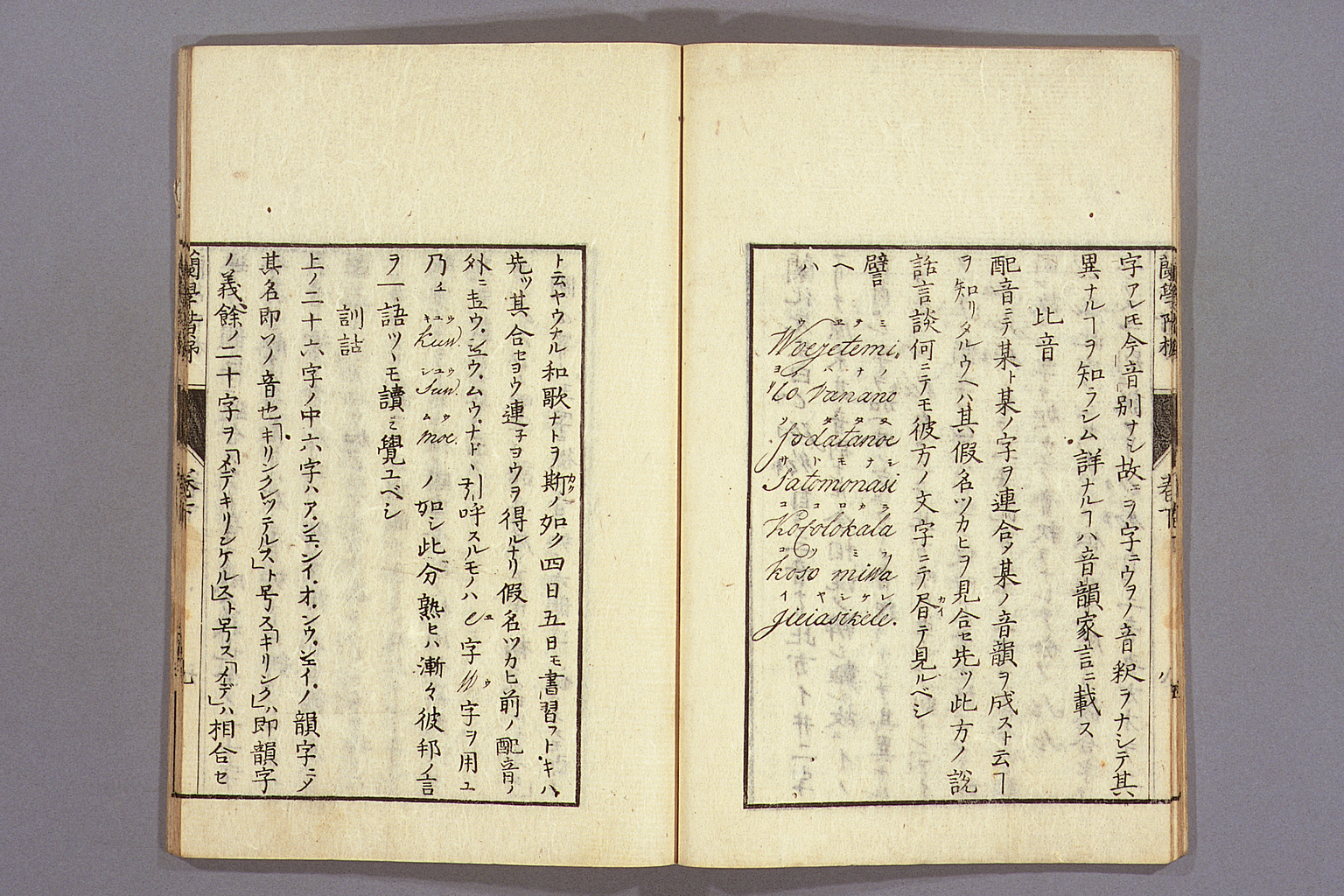 標準画像を開く