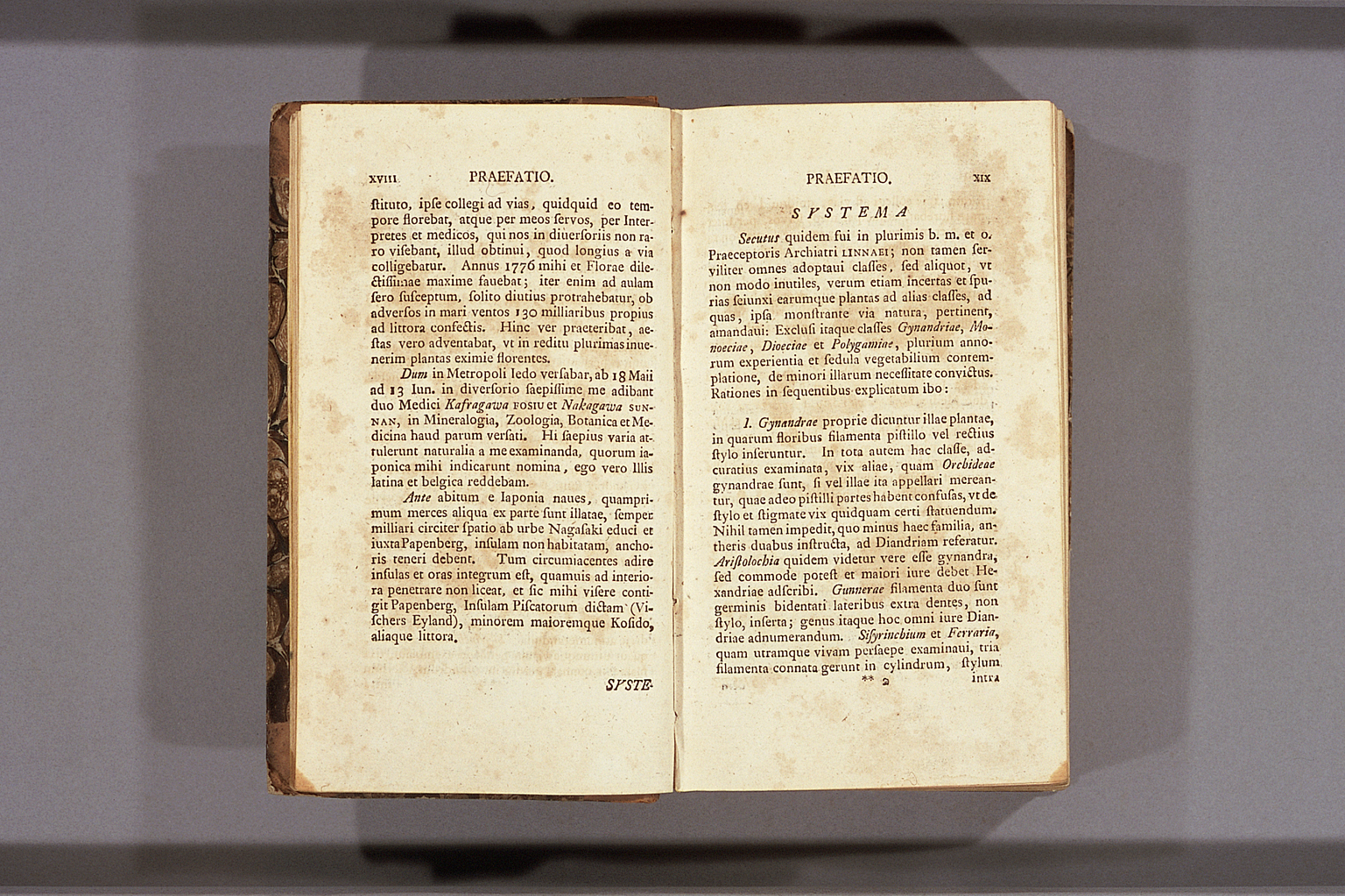 標準画像を開く