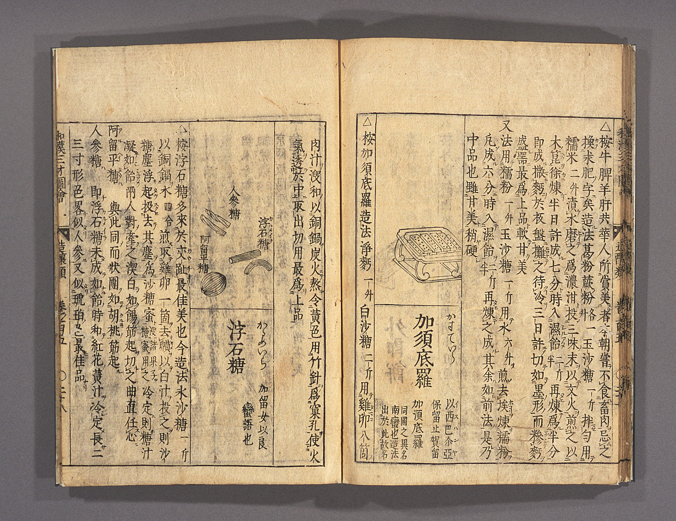 和漢三才図会（拡大画像 209-002） | 江戸時代の日蘭交流