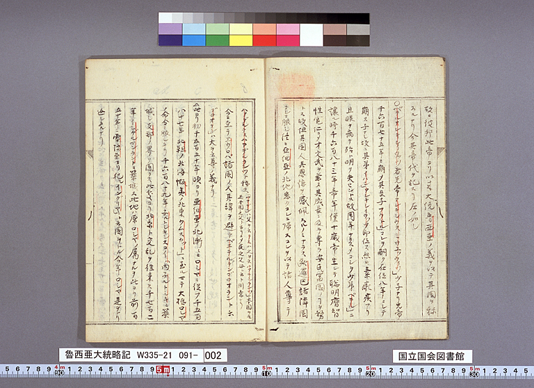 拡大画像を開く