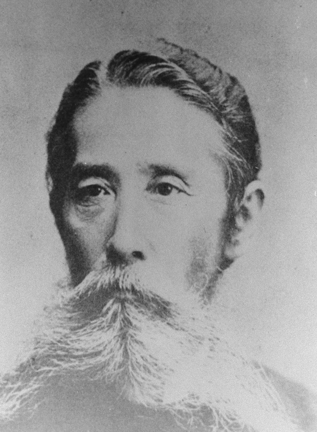 Portrait of ITAGAKI Taisuke2