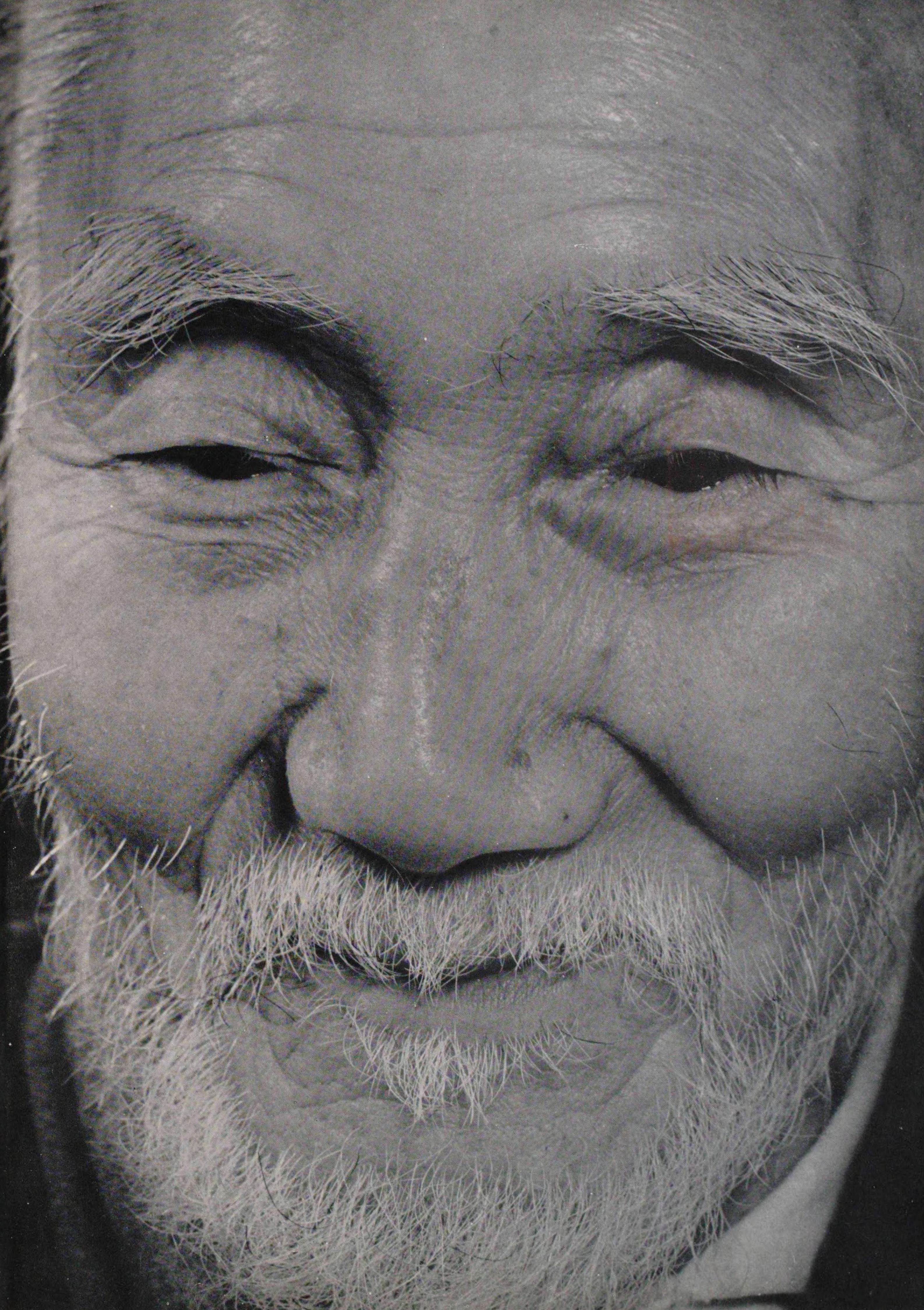 Portrait of TANAKADATE Aikitsu3