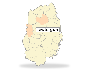 Iwate-gun