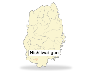 Nishiiwai-gun