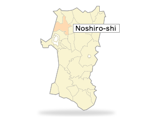 Noshiro-shi