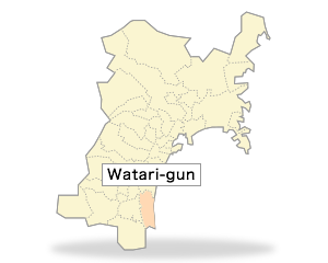 Watari-gun