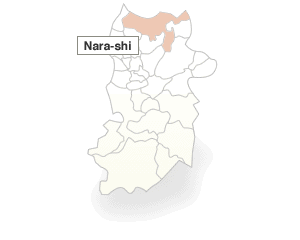 Nara-shi