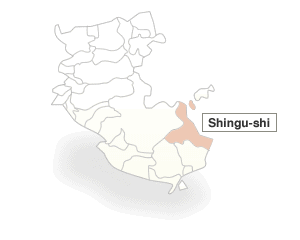 Shingu-shi