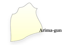Arima-gun