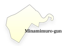 Minamimuro-gun