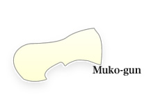 Muko-gun