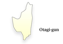 Otagi-gun
